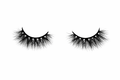 Quiet Lash