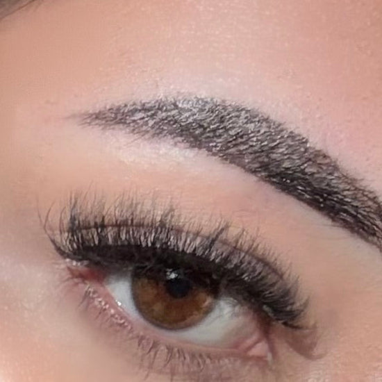 Kylie Lash