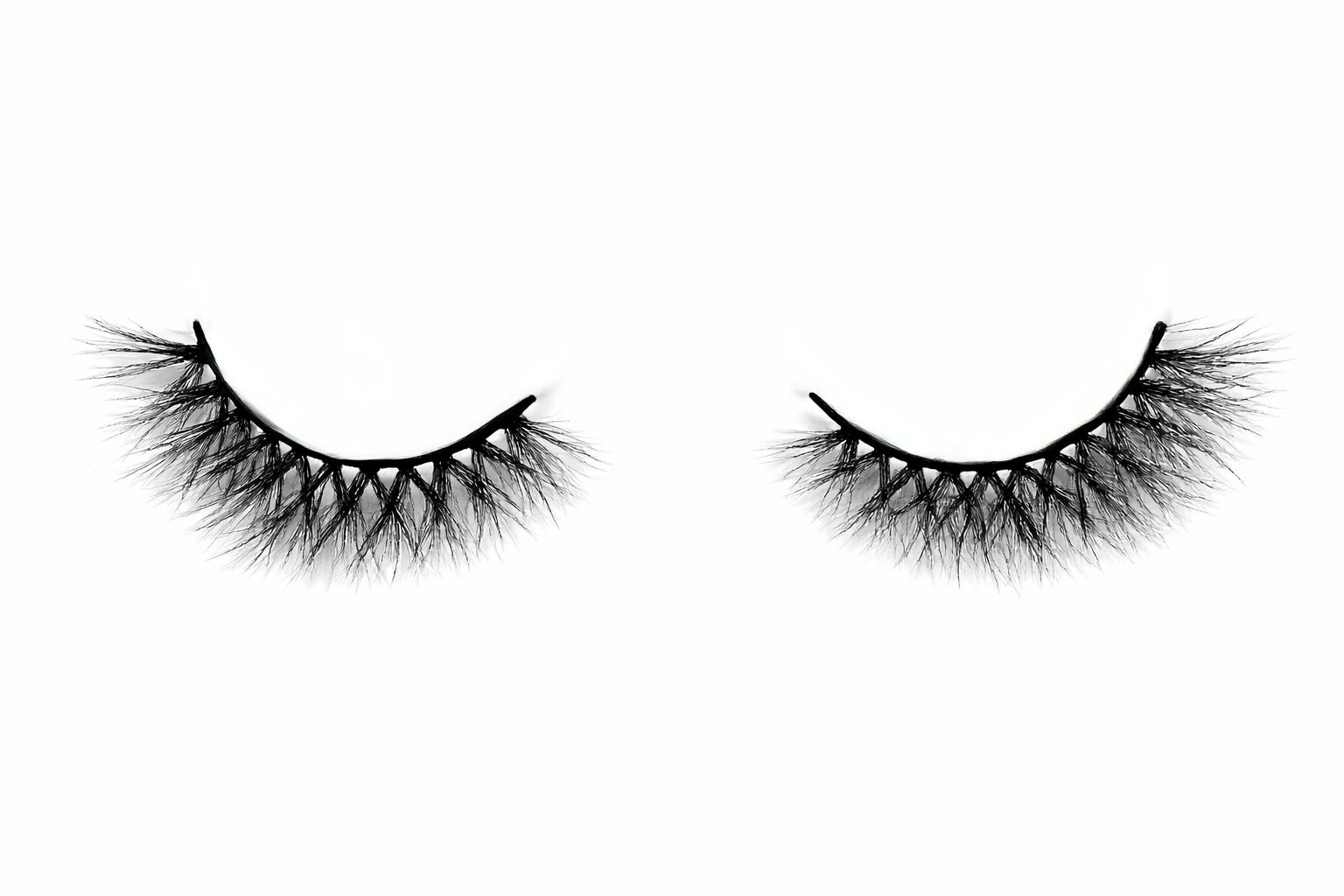Soft Midnight Lash