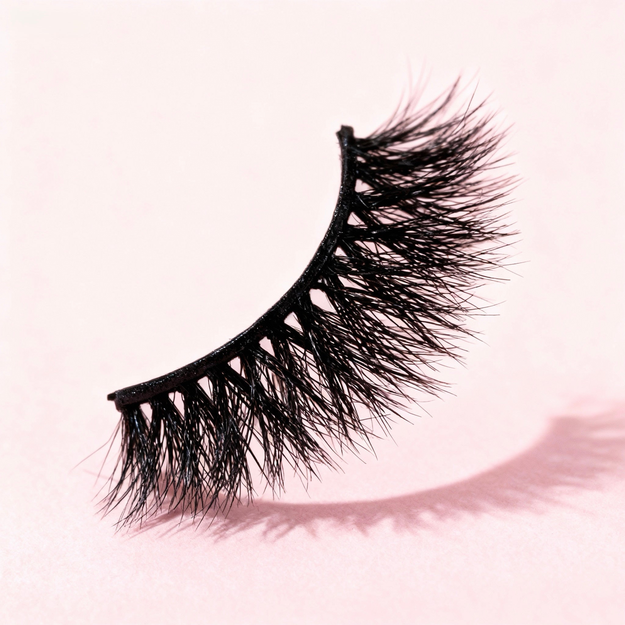 Soft Midnight Lash
